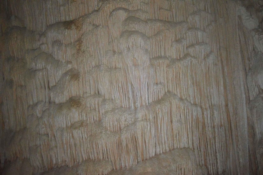 Picture 11 for Activity Belize City: CaveTubing or Crystal Cave+ or Zipline n Tubing 4