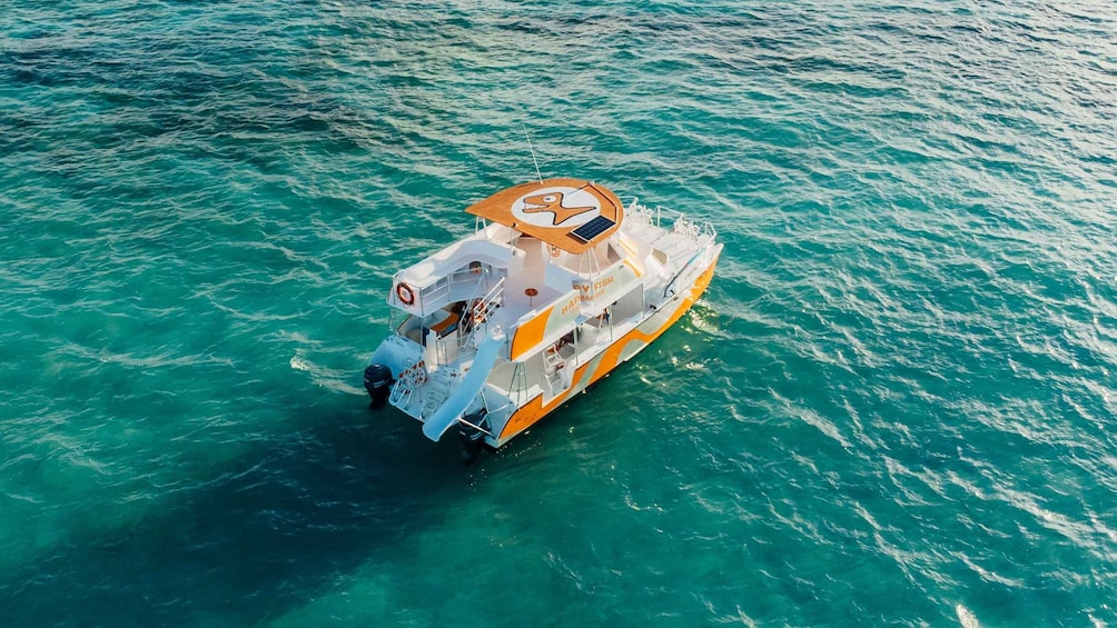 Picture 7 for Activity Punta Cana: Catamaran Tour with Food, Drinks, and Snorkeling 2