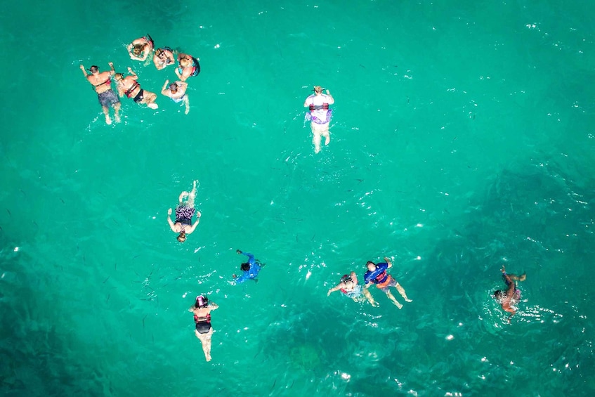 Picture 6 for Activity Punta Cana: Catamaran Tour with Food, Drinks, and Snorkeling 3