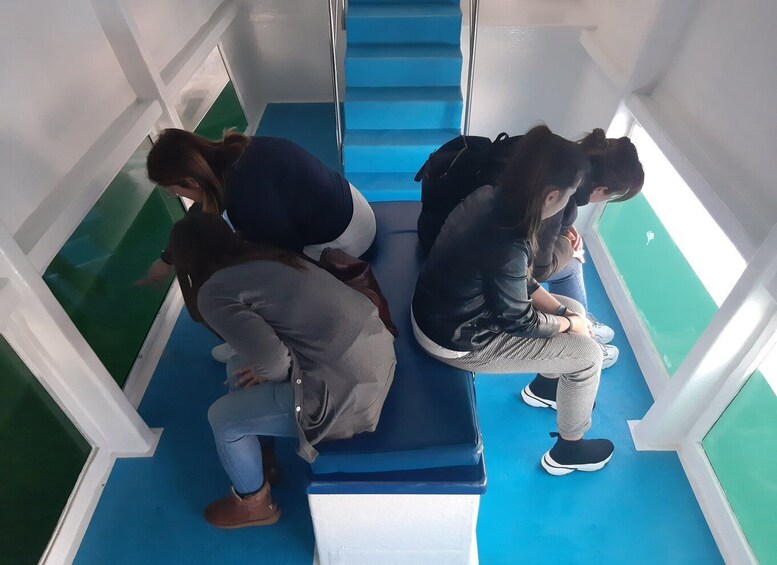 Picture 4 for Activity Ría de Arousa: Boat Ride to Mussel Farm with Tasting 2