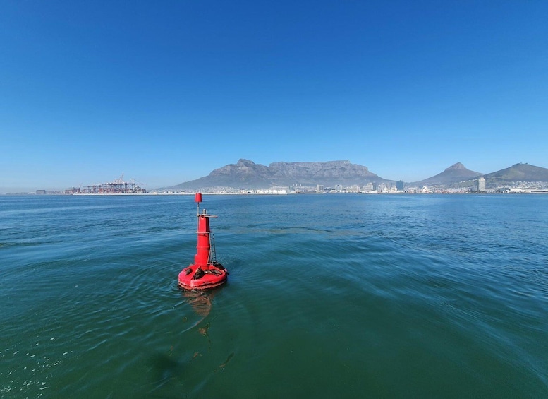 A red buoy in calm waters with a cityscape and mountains in the background. 2