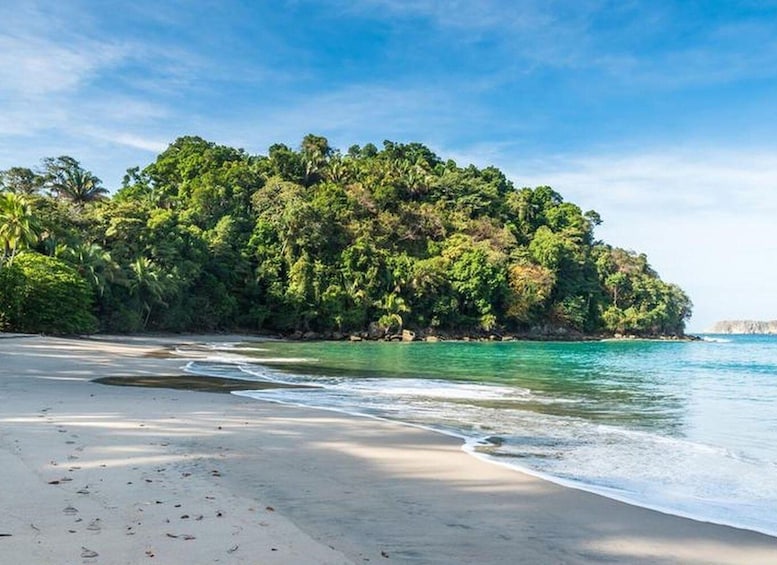 Picture 8 for Activity San Jose Costa Rica: Manuel Antonio National Park Tour 3