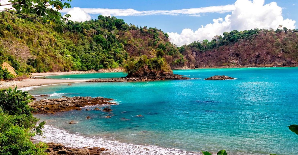 Picture 7 for Activity San Jose Costa Rica: Manuel Antonio National Park Tour 2