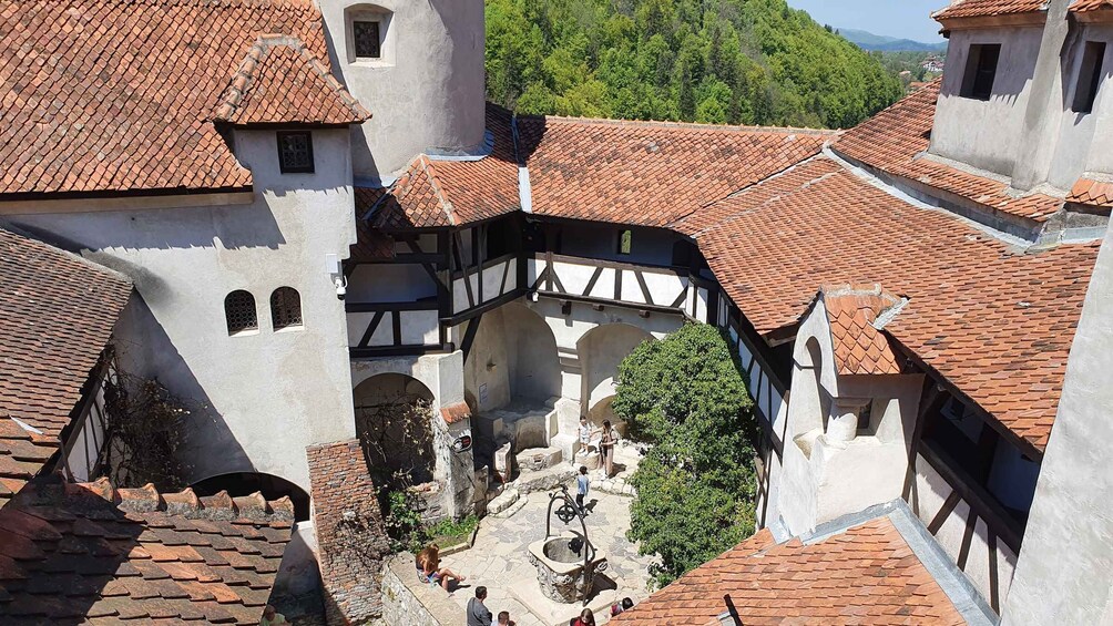 Picture 36 for Activity 7h Dracula's Castle Private Tour from Bucharest - Fast Tour 2