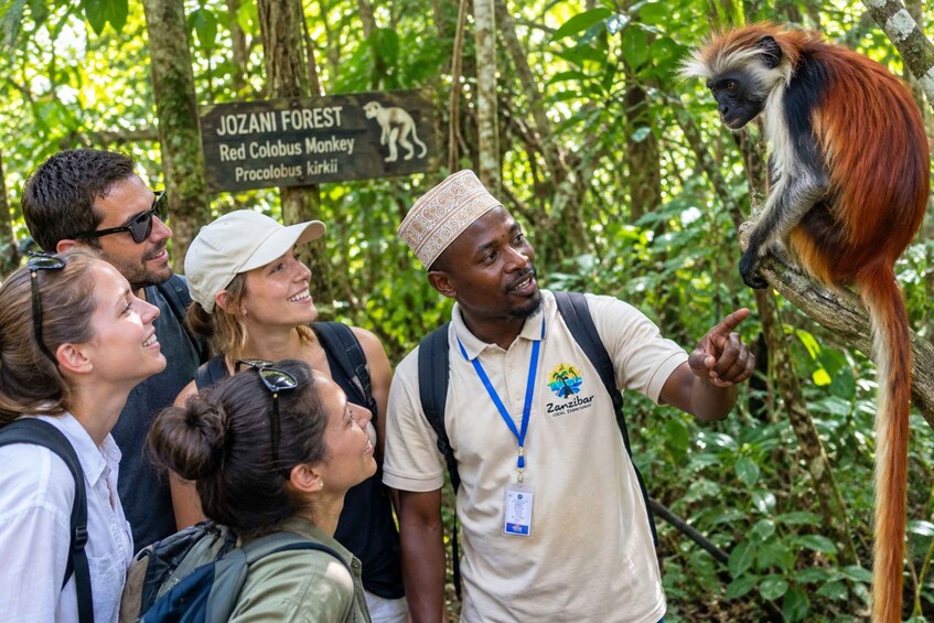 Zanzibar: Jozani Forest, Local Zoo and Swimming with Turtles 1