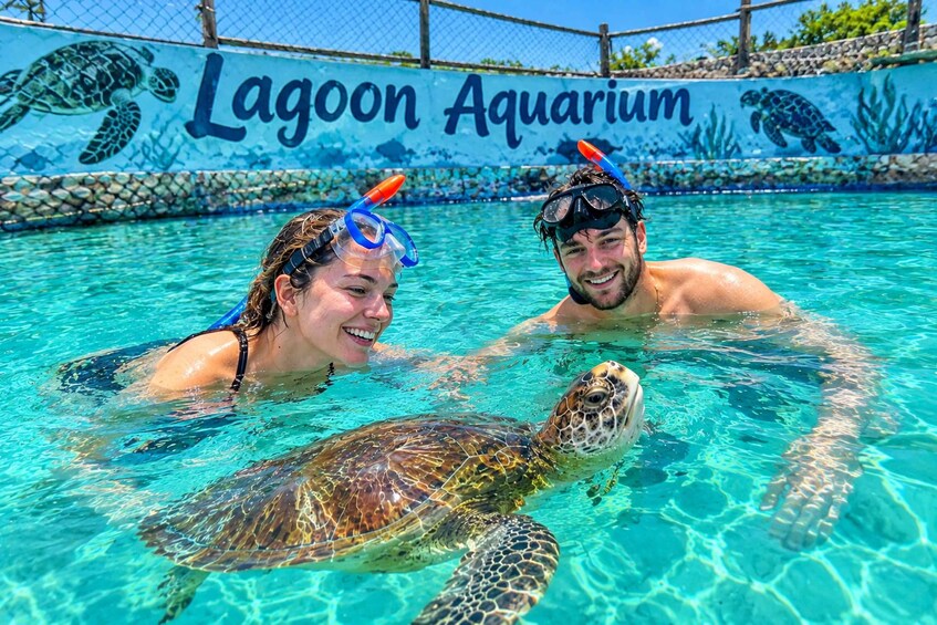 Picture 1 for Activity Zanzibar: Jozani Forest, Local Zoo and Swimming with Turtles 2