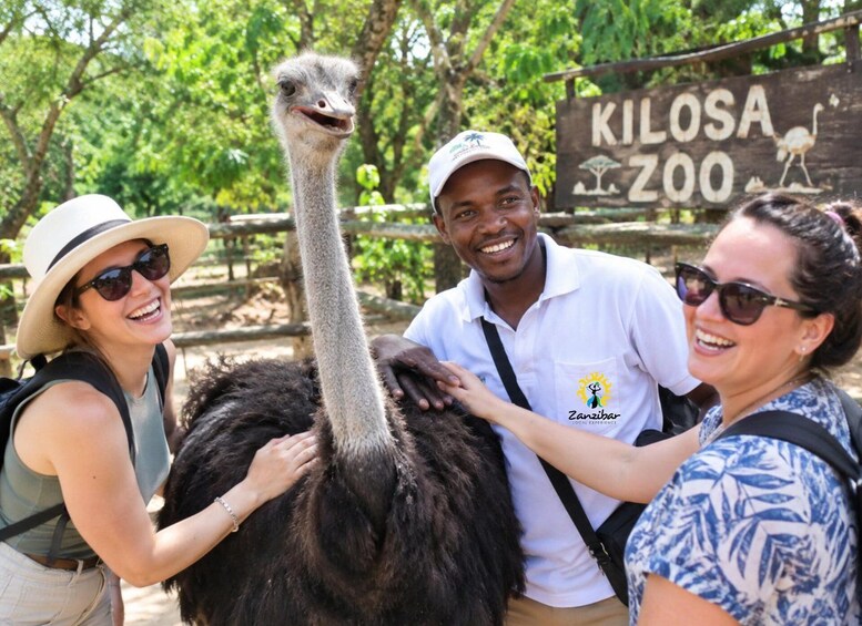Picture 2 for Activity Zanzibar: Jozani Forest, Local Zoo and Swimming with Turtles 2