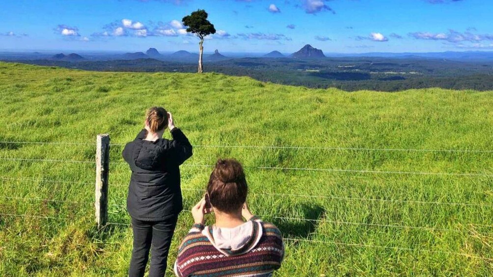 Picture 1 for Activity From Sunshine Coast: Hinterland Tour with Lunch & Transfers 3