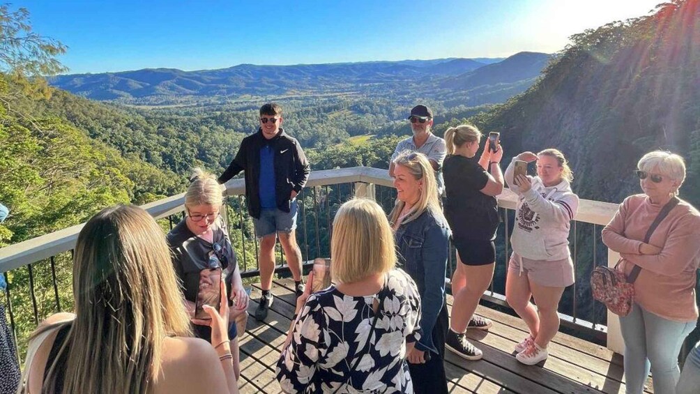 Picture 5 for Activity From Sunshine Coast: Hinterland Tour with Lunch & Transfers 2