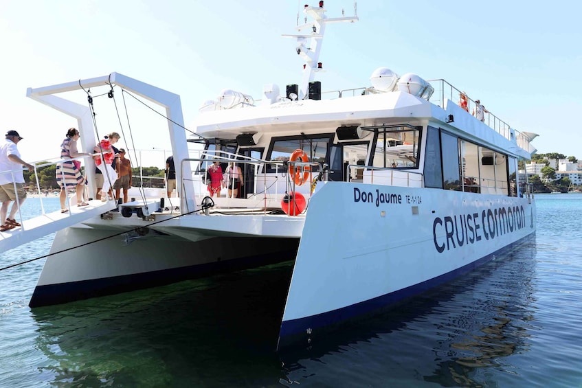 Picture 9 for Activity Santa Ponsa: Dolphin Watching Cruise 2