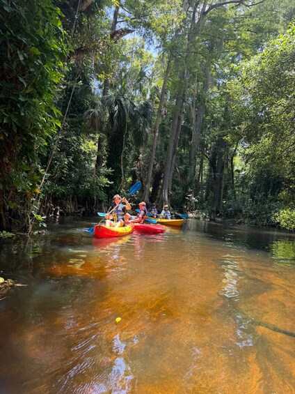 Picture 12 for Activity Jupiter: Wild and Scenic Loxahatchee River Kayak Tour 4