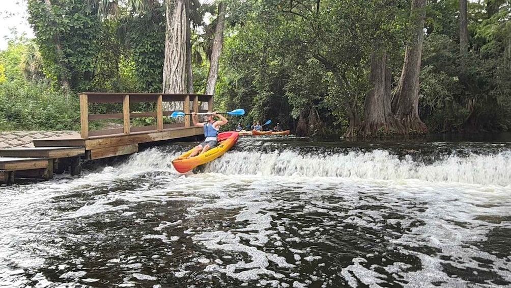 Picture 10 for Activity Jupiter: Wild and Scenic Loxahatchee River Kayak Tour 2