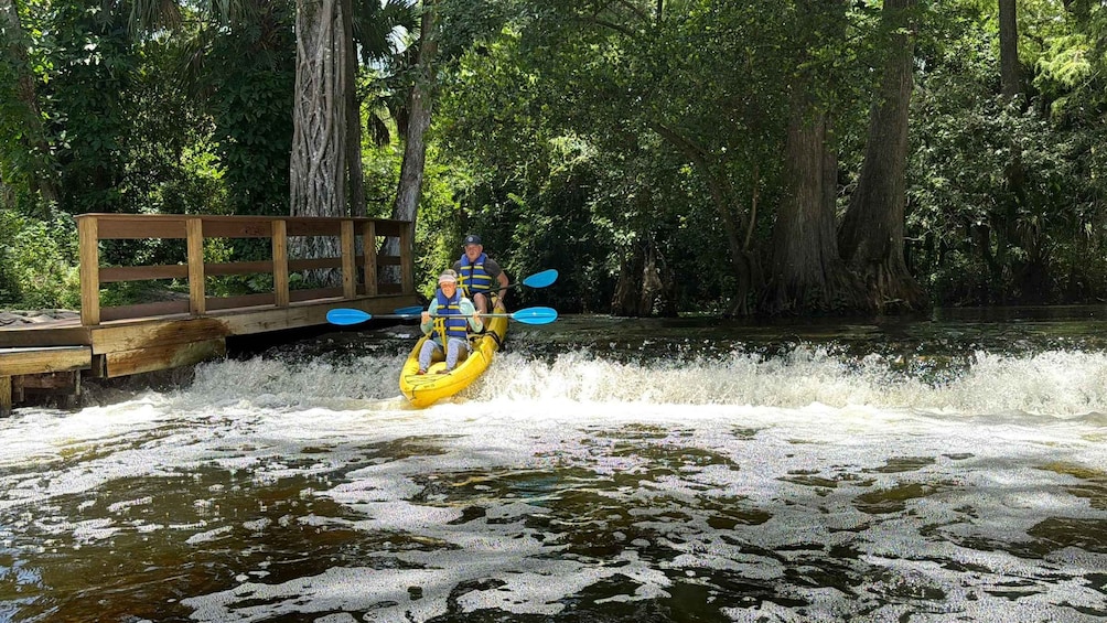 Picture 11 for Activity Jupiter: Wild and Scenic Loxahatchee River Kayak Tour 3