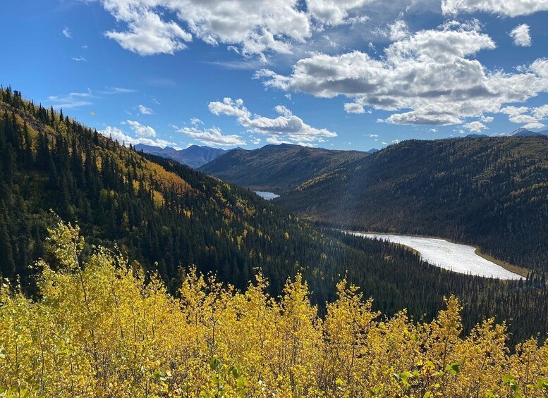 A mountainous landscape with a river, dense forest, and a snow-capped mountain in the distance. 1