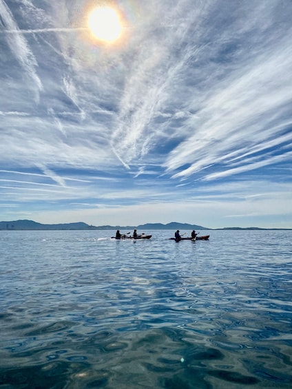 Picture 18 for Activity Marseille: Côte Bleue Calanques Half-Day Kayak Tour 5