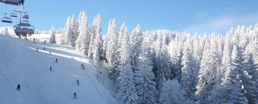 A snowy ski slope with skiers, a ski lift, and snow-covered trees. 2