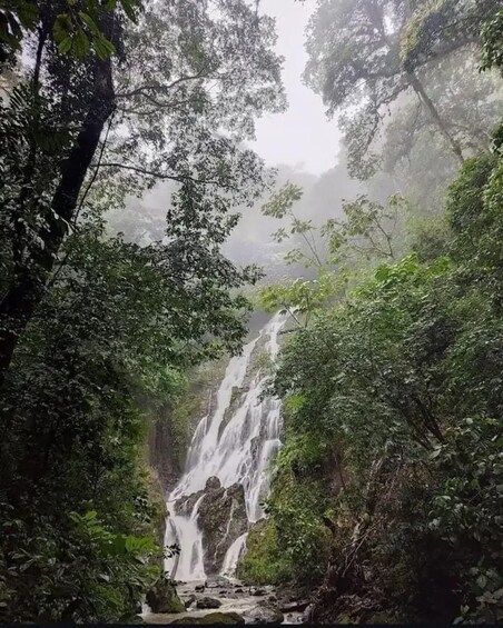 Picture 9 for Activity From Panama City: El Valle de Anton Private Full-Day Tour 5