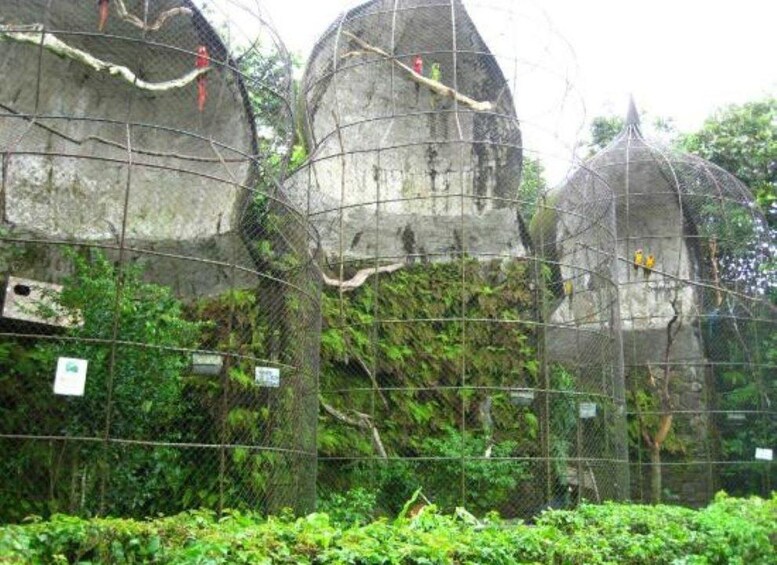 Picture 6 for Activity From Panama City: El Valle de Anton Private Full-Day Tour 4