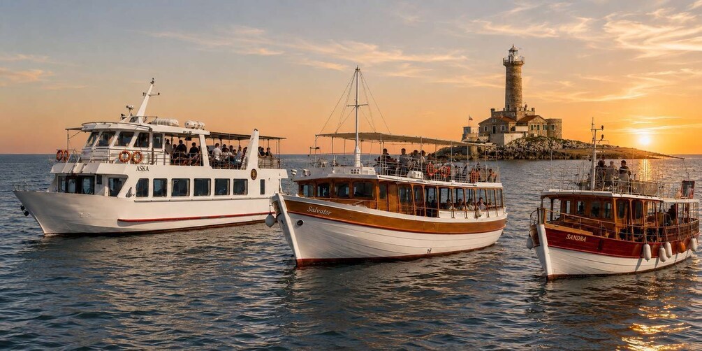 Picture 5 for Activity Medulin: 3h Ultra ALL-INCLUSIVE Sunset Dolphin Boat trip 2