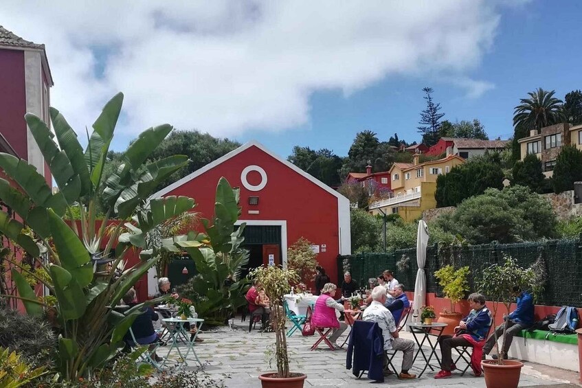 Winery Tour, Wine Museum, and Tasting in Gran Canaria 1