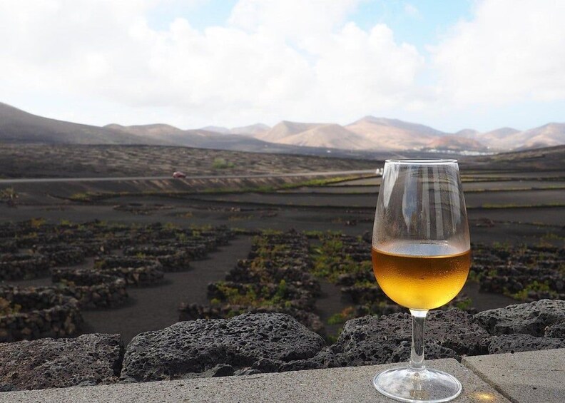 Picture 3 for Activity Winery Tour, Wine Museum, and Tasting in Gran Canaria 4