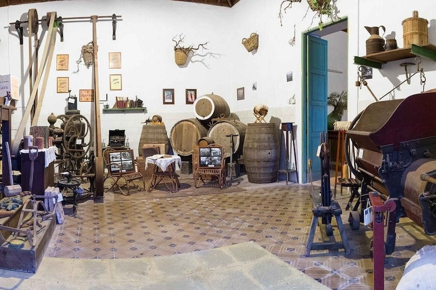 Picture 18 for Activity Winery Tour, Wine Museum, and Tasting in Gran Canaria 3