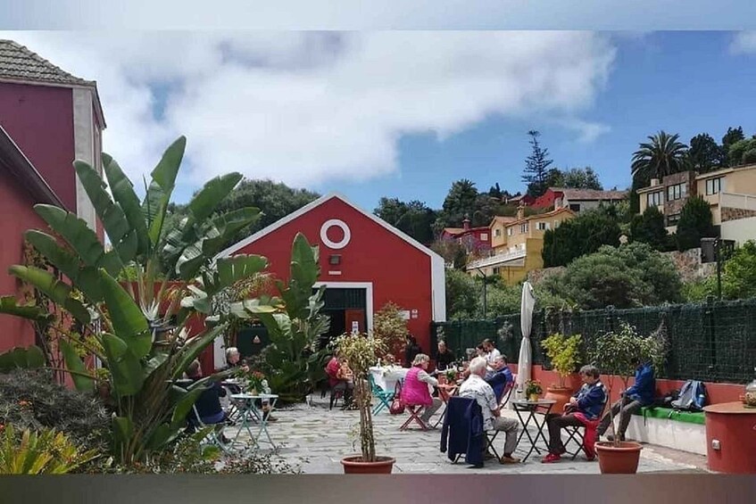 Picture 17 for Activity Winery Tour, Wine Museum, and Tasting in Gran Canaria 2