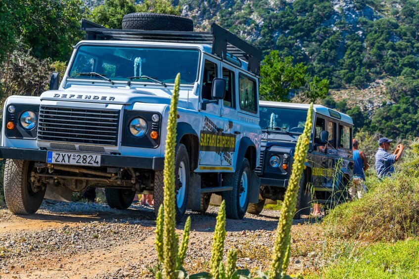 A Defender vehicle with a license plate 'ZXY-2824' and 'Safari Experts' branding, parked on a gravel path with vegetation in the foreground. 5