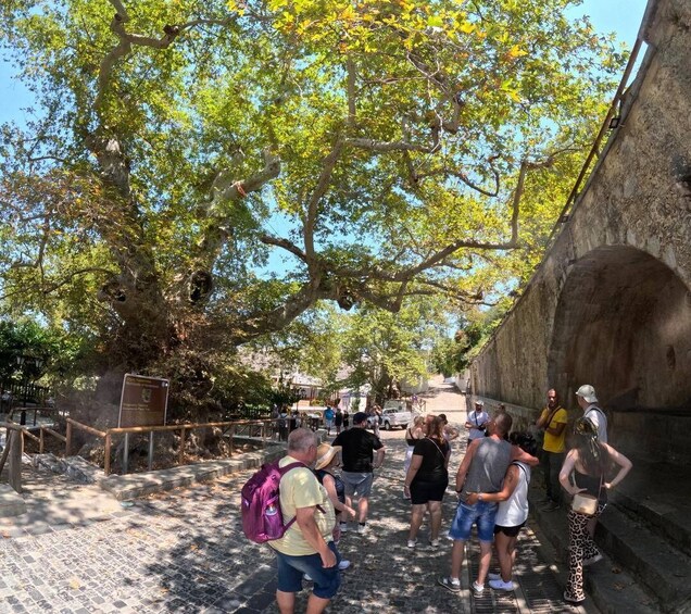 Picture 5 for Activity Crete 4x4 Safari: Zeus Cave & Lasithi Plateau Village Tour 2