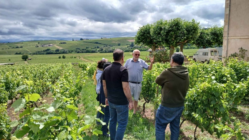 A group of people in a vineyard with a cloudy sky in the background. 1