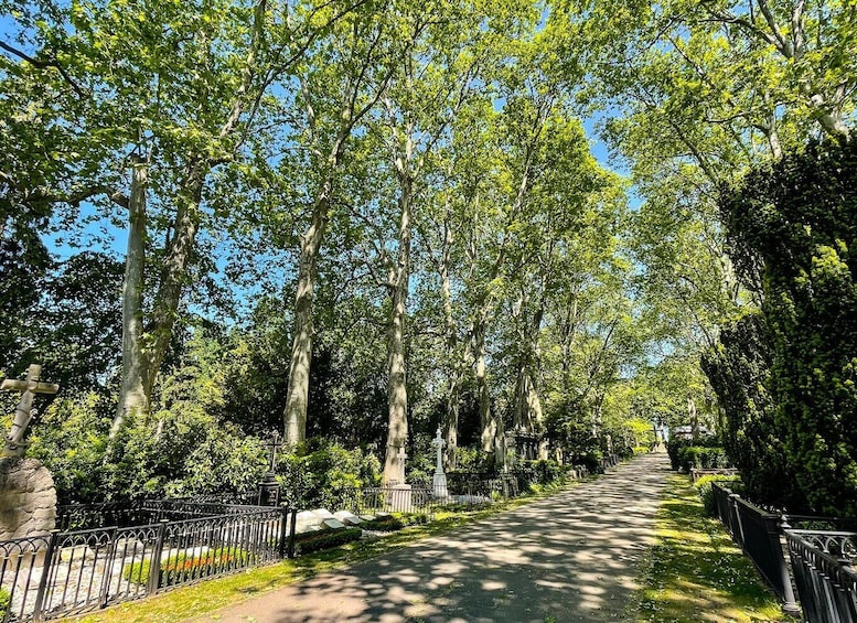 Cologne: Guided Tour of Melatenfriedhof 1