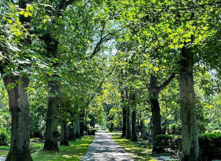Picture 8 for Activity Cologne: Guided Tour of Melatenfriedhof 3
