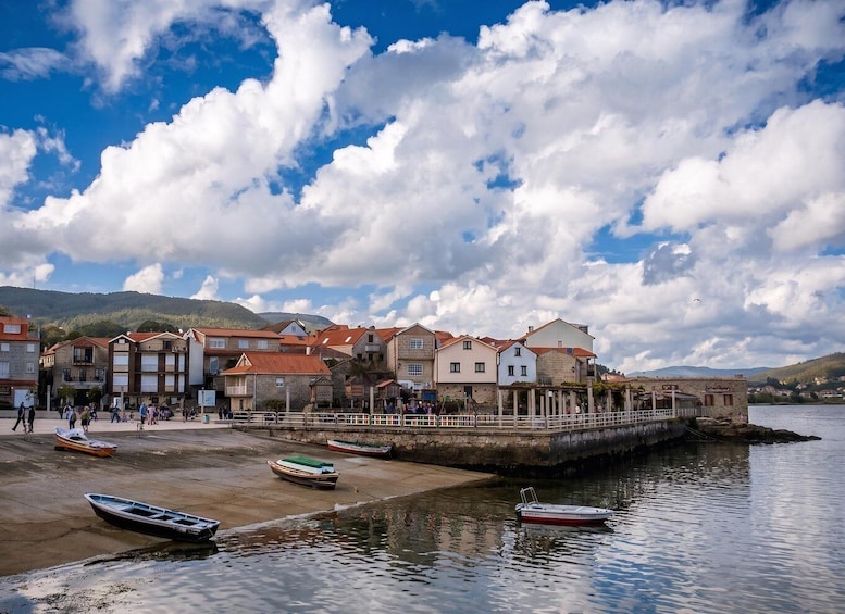 Picture 7 for Activity From Santiago: Rías Baixas Tour +mussel cruise and cellar 5
