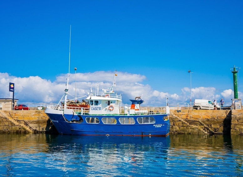 Picture 10 for Activity From Santiago: Rías Baixas Tour +mussel cruise and cellar 5