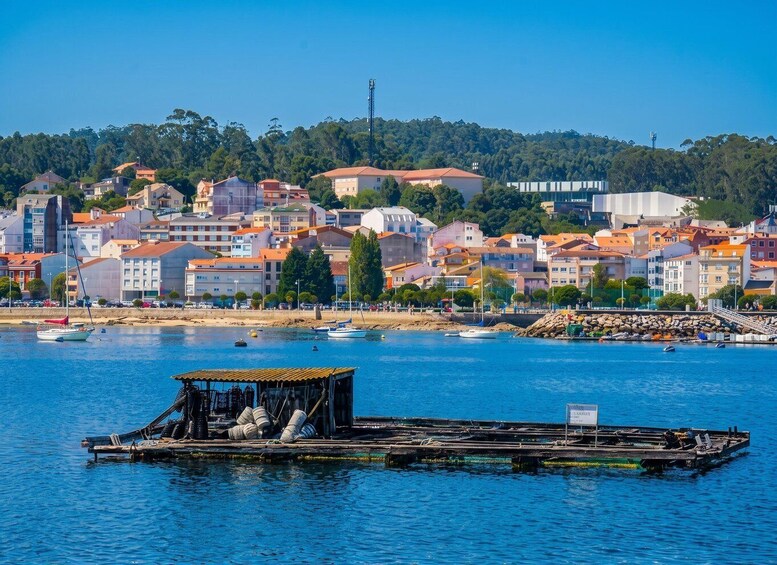 Picture 4 for Activity From Santiago: Rías Baixas Tour +mussel cruise and cellar 5