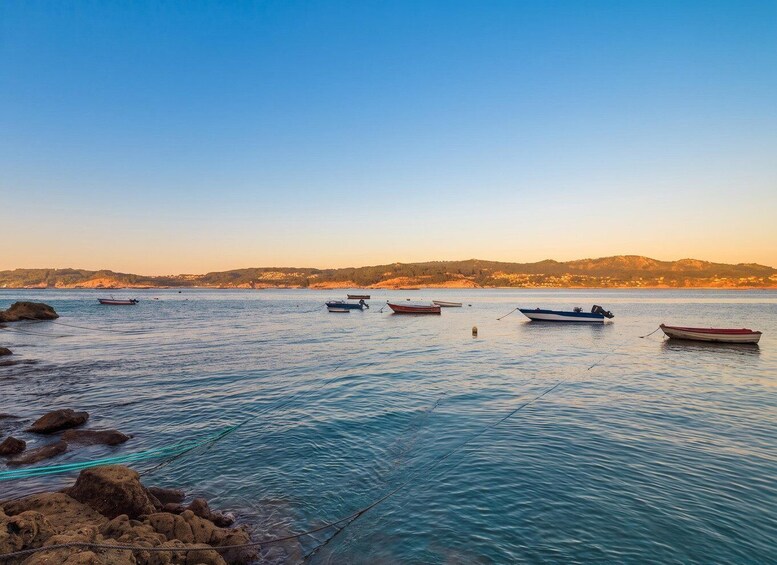 Picture 8 for Activity From Santiago: Rías Baixas Tour +mussel cruise and cellar 2