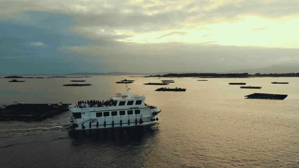 A ferry boat with passengers, multiple other boats, and a calm river with distant land. 2