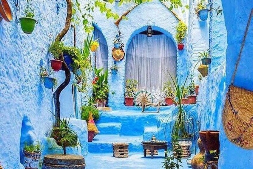 A blue-walled courtyard with potted plants and a small table. 1