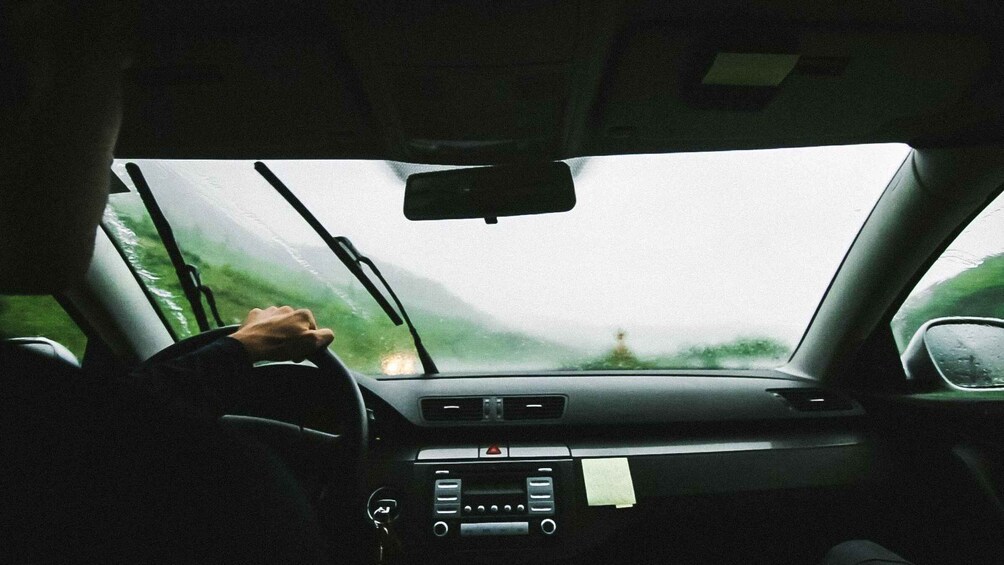 Het interieur van een auto, met iemand achter het stuur, een schuifdak en uitzicht op begroeiing. 2