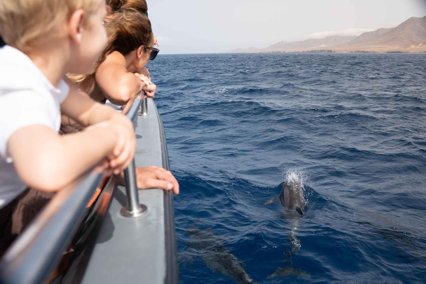 Picture 12 for Activity Morro Jable: Dolphin & Whale Watching Cruise, Drinks & Swim 4