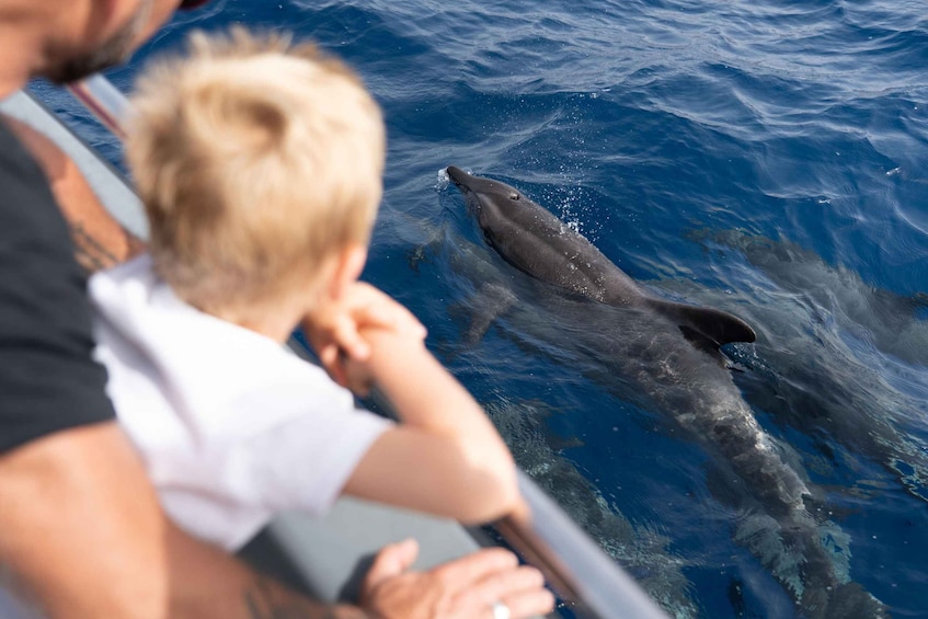 Picture 5 for Activity Morro Jable: Dolphin & Whale Watching Cruise, Drinks & Swim 4