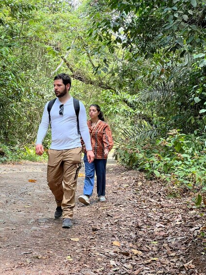 Picture 9 for Activity Panama City: Soberania National Park Hiking Tour 2