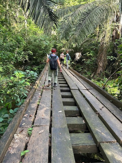 Picture 4 for Activity Panama City: Soberania National Park Hiking Tour 2