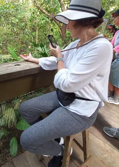 Picture 8 for Activity Panama City: Soberania National Park Hiking Tour 4