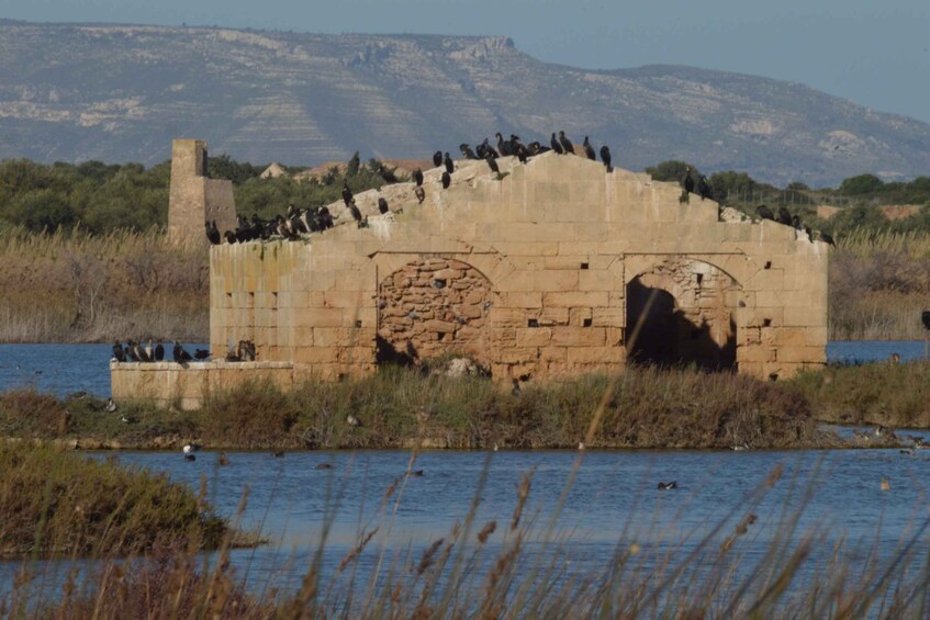 Una struttura in pietra con degli uccelli appollaiati sopra, circondata da acqua e vegetazione. 1
