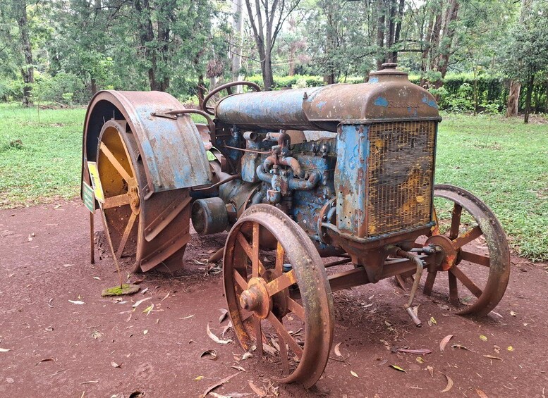 Un tractor viejo y oxidado con ruedas grandes y una cabina, estacionado en un camino de tierra rodeado de árboles. 1