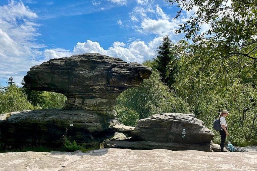 Mushroom and Turtle rocks formations 2