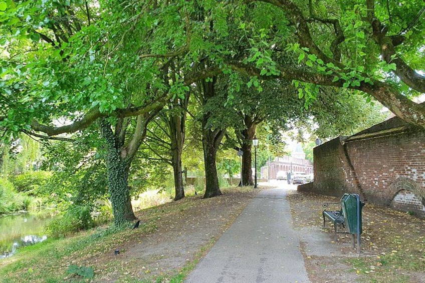 A tree-lined pathway with a bench and a mailbox. 2