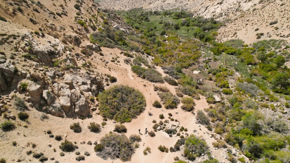 Picture 7 for Activity Cochiguaz River Valley Nature Hike 2