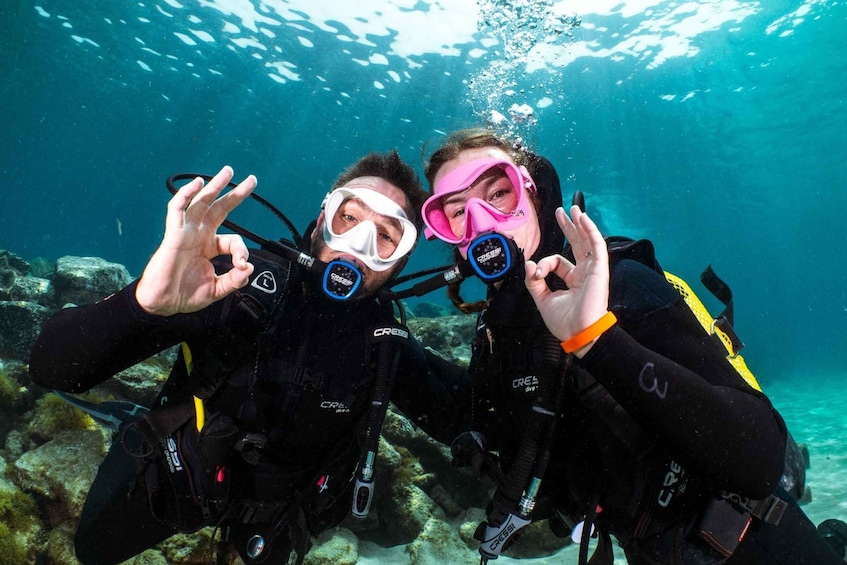 Dos buceadores bajo el agua con aletas y tanques, rodeados de vida marina y rocas. 1